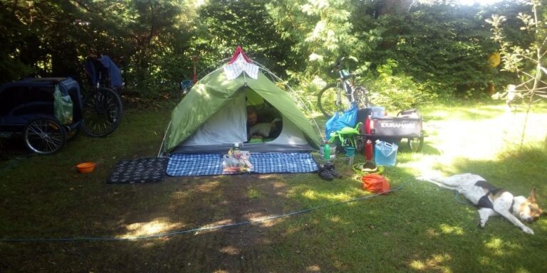 Fahrradtour mit hund 2 1 | Outdoor Abenteuer mit Hunden – Ausrüstung, Wissen & Inspiration | Ein Bild von OUTDOOR HUNDE