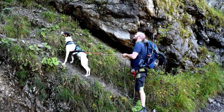 outdoor Aktivitaet mit Hund Bergtour mit Hund 1 | Outdoor Abenteuer mit Hunden – Ausrüstung, Wissen & Inspiration | Ein Bild von OUTDOOR HUNDE